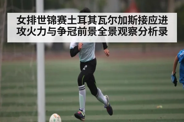女排世锦赛土耳其瓦尔加斯接应进攻火力与争冠前景全景观察分析录
